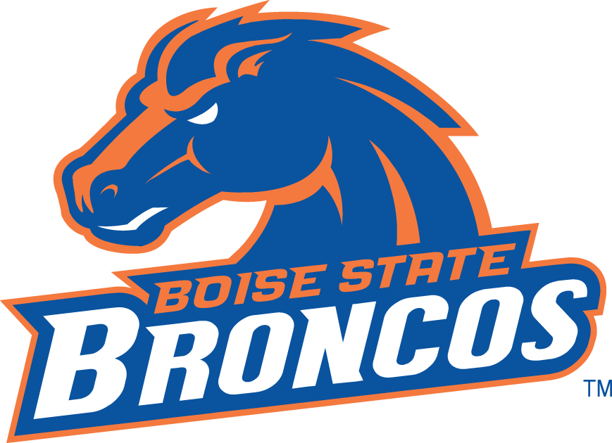 Boise State Broncos 2002-2012 Alternate Logo v2 iron on transfers for T-shirts